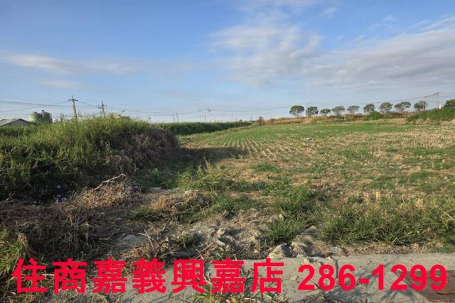 嘉義農地-9