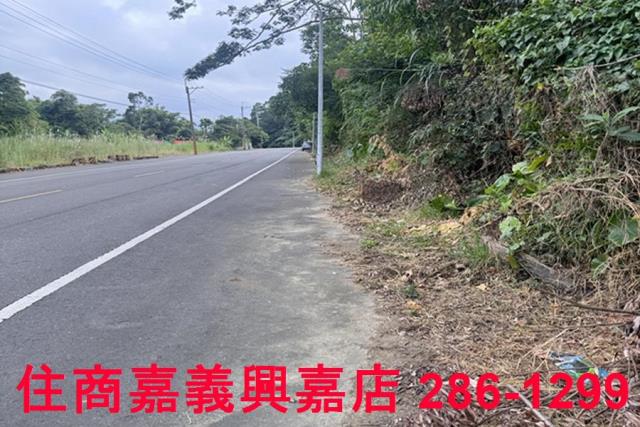 嘉義番路農地-1