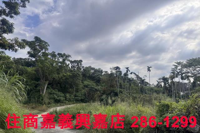 嘉義番路農地-5