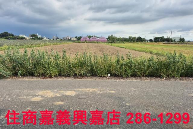嘉義民雄農地-8