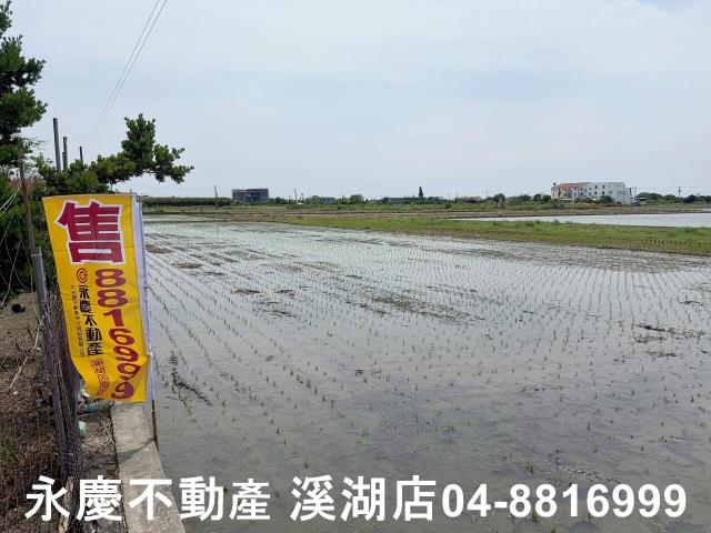 彰化北斗農地-8