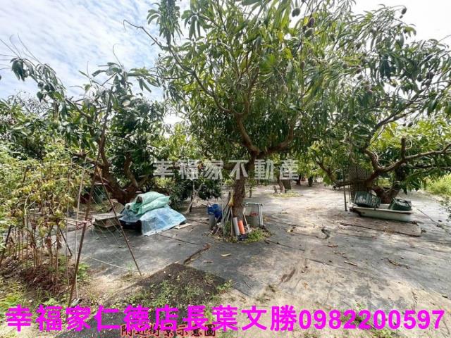 台南安定農地-14