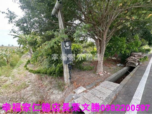 台南安定農地-15