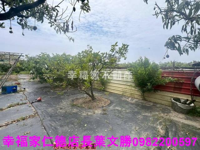台南安定農地-4