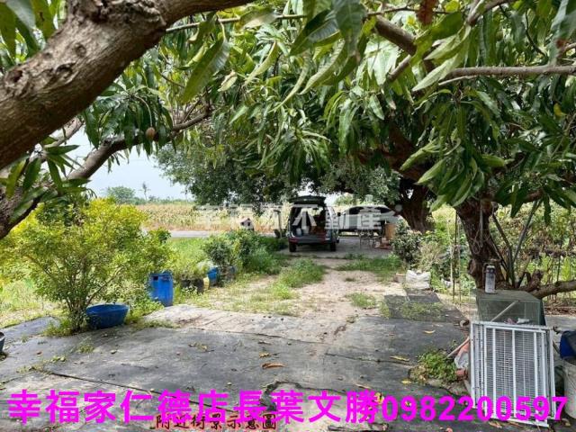 台南安定農地-7