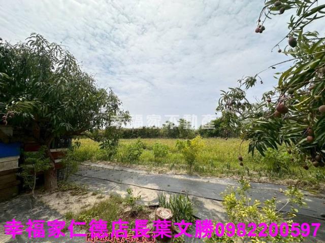 台南安定農地-8