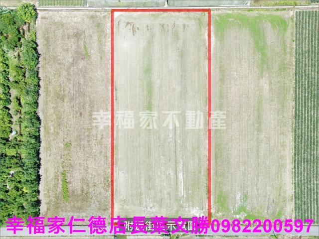 台南新市農地-10