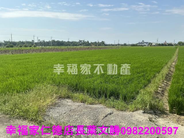 台南白河農地-1