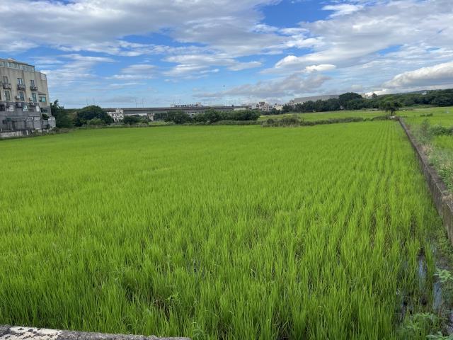 蘆竹農地-4