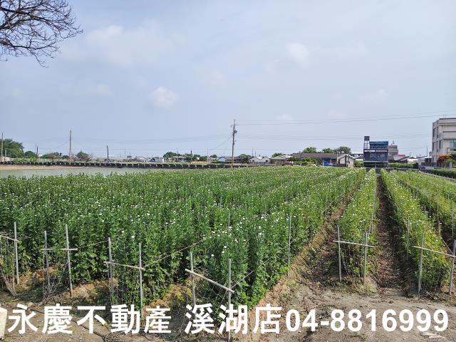 彰化農地-3
