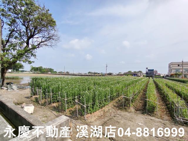 彰化農地-5