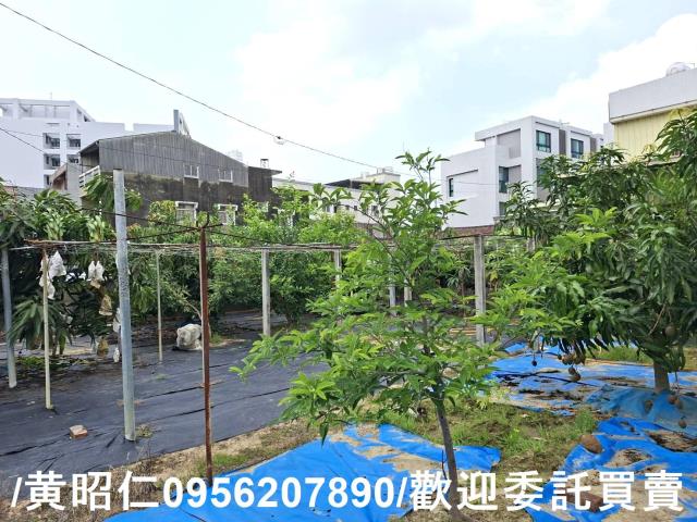 台南善化建地-3