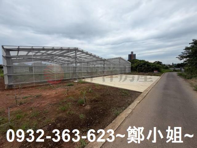 大園農地-1