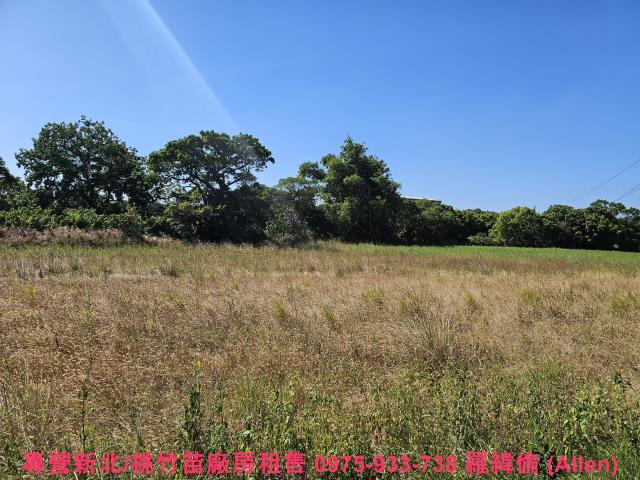 桃園蘆竹農地-2