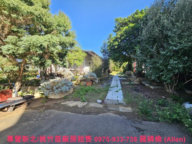 湖口農地-1