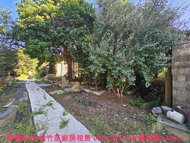 湖口農地-4