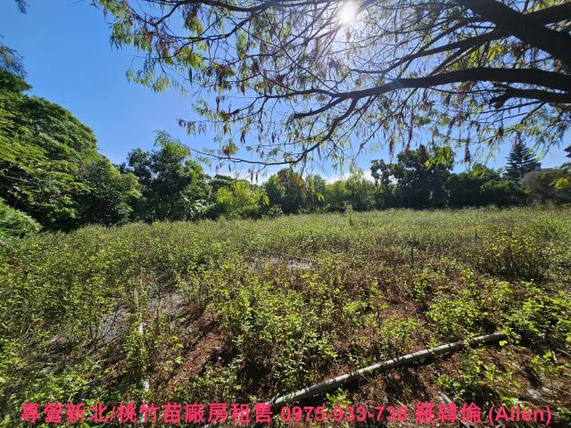 湖口農地-2