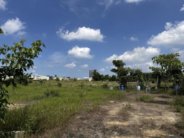 安南農地-7