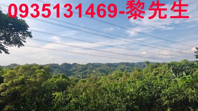 新竹農地-13