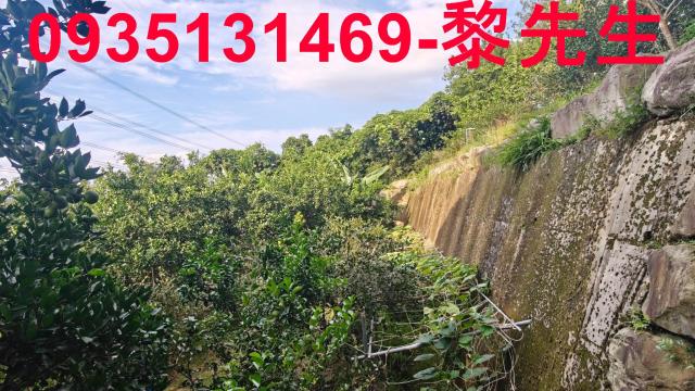 新竹農地-14