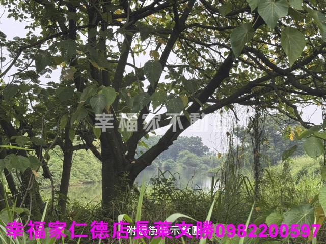 台南農地-11