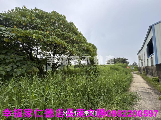 台南農地-9