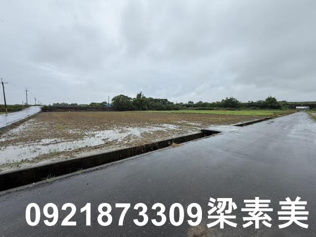 善化農地-3
