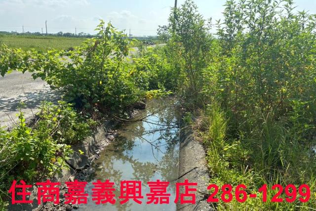 嘉義鹿草農地-7