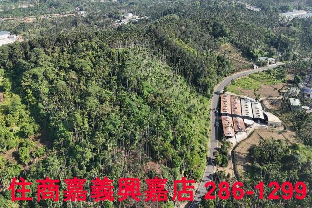 嘉義中埔農地-3