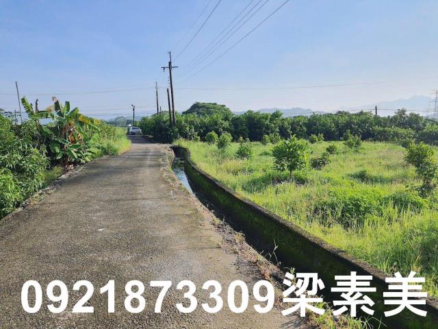玉井農地-12