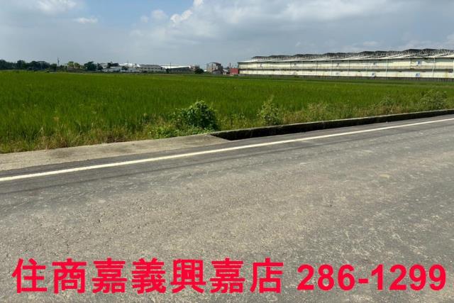 鹿草農地-2