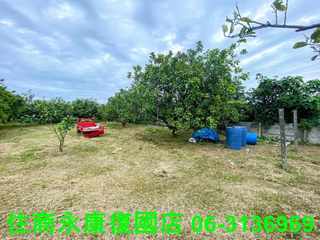 台南農地-5