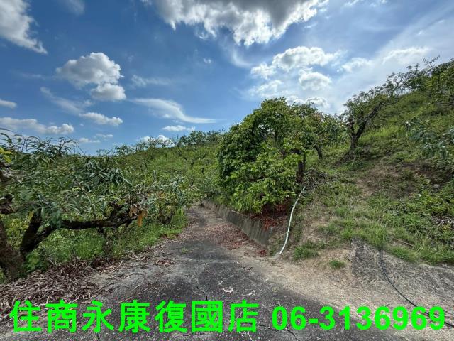 台南農地-5