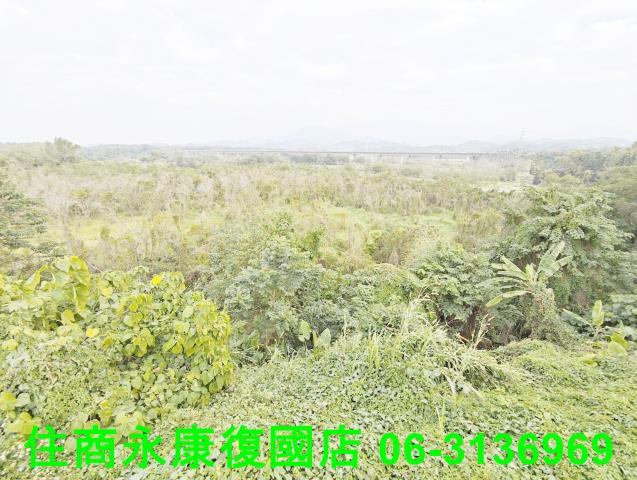 台南農地-6