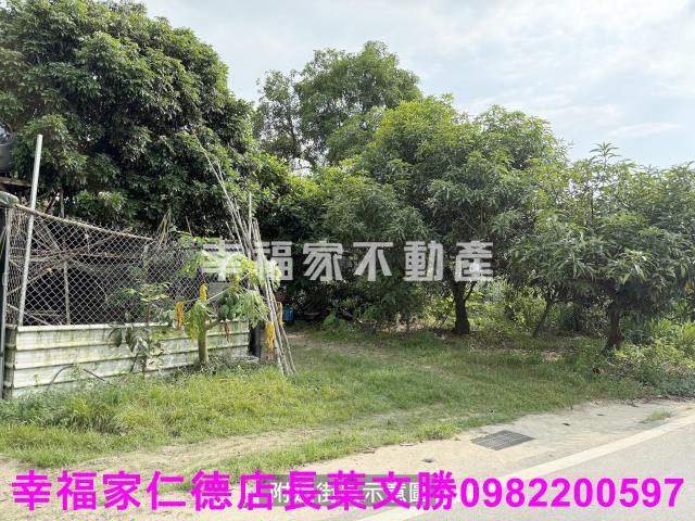 台南關廟農地-1