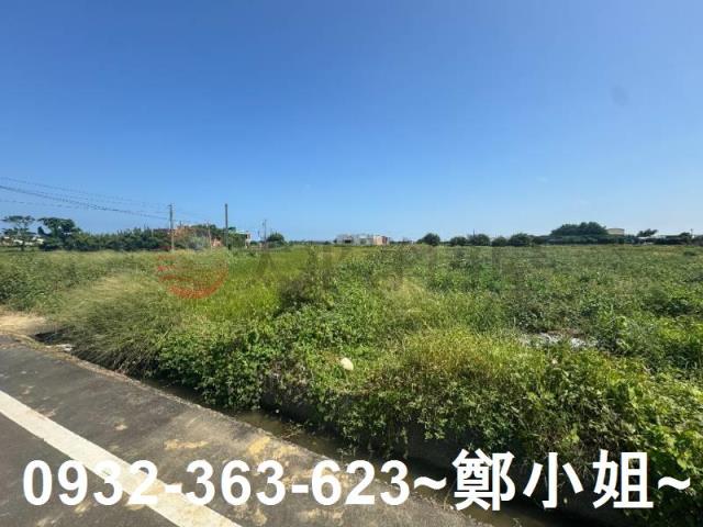 桃園觀音農地-10
