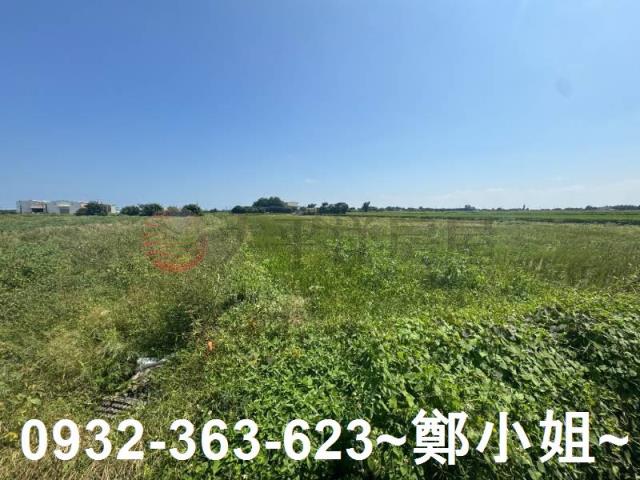 桃園觀音農地-13