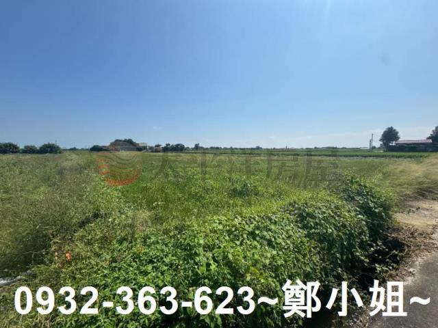 桃園觀音農地-14