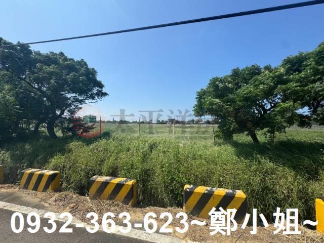 桃園觀音農地-15