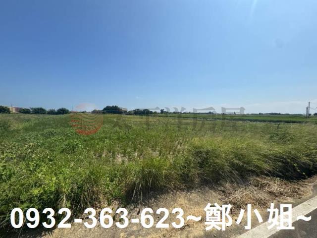 桃園觀音農地-2