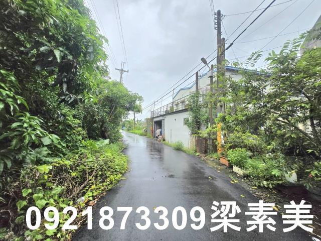 左鎮建地-3