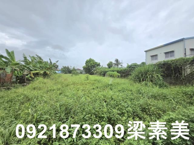 左鎮建地-5
