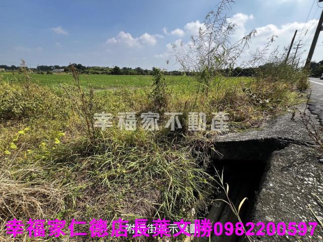 台南麻豆農地-11