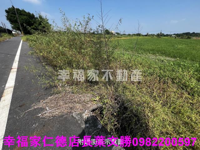 台南麻豆農地-8