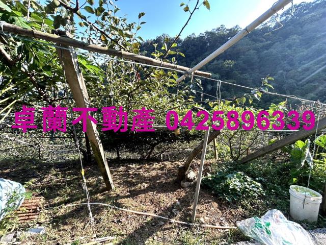 苗栗大湖山坡地-10