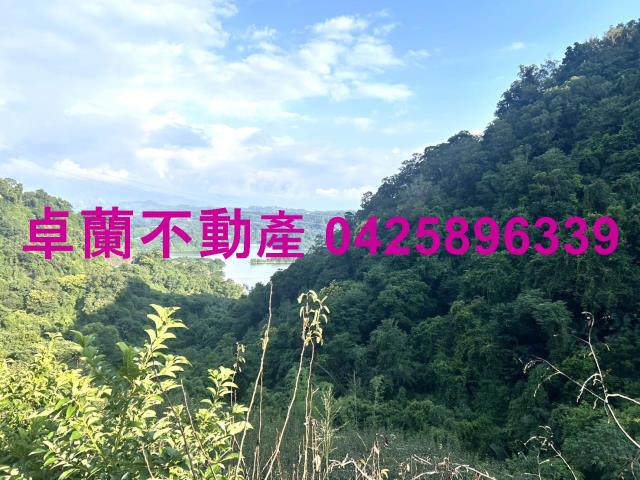 苗栗大湖山坡地-12