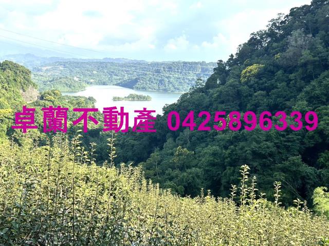 苗栗大湖山坡地-4