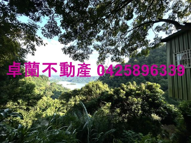 苗栗大湖山坡地-7