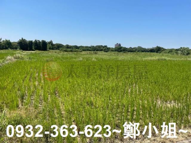 蘆竹農地-1