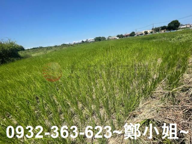 蘆竹農地-4